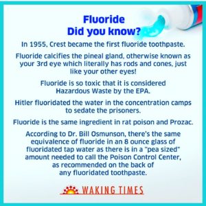 Fluoride